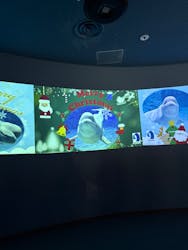 名古屋港水族館に投稿された画像（2025/12/20）