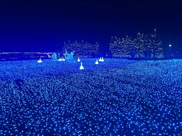 東武動物公園に投稿された画像（2025/12/20）