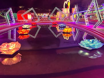 みろくの里に投稿された画像（2025/12/20）