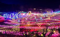 みろくの里に投稿された画像（2025/12/20）