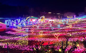 みろくの里に投稿された画像（2025/12/20）