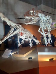 国立科学博物館に投稿された画像（2025/12/20）