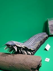 国立科学博物館に投稿された画像（2025/12/20）