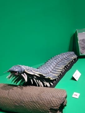 国立科学博物館に投稿された画像（2025/12/20）