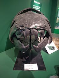 国立科学博物館に投稿された画像（2025/12/20）