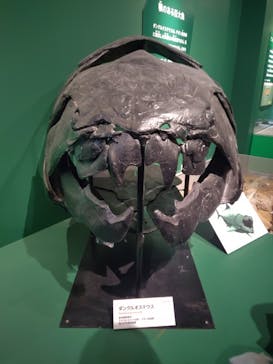 国立科学博物館に投稿された画像（2025/12/20）