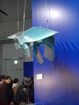 国立科学博物館に投稿された画像（2025/12/20）