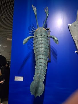 国立科学博物館に投稿された画像（2025/12/20）