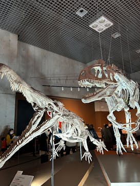 特別展「大絶滅展―生命史のビッグファイブ」に投稿された画像（2025/12/20）