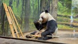 恩賜上野動物園に投稿された画像（2025/12/20）