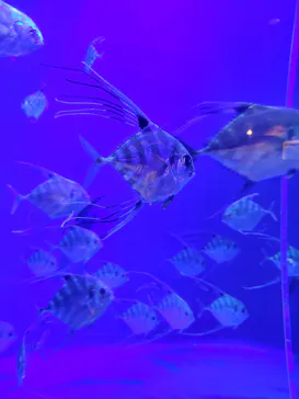 仙台うみの杜水族館に投稿された画像（2025/12/20）