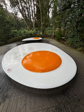 彫刻の森美術館に投稿された画像（2025/12/20）