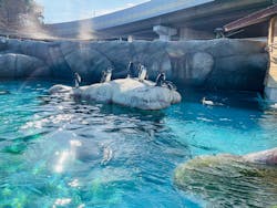 天王寺動物園に投稿された画像（2025/12/20）