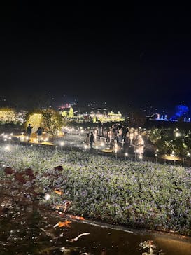 いばらきフラワーパークに投稿された画像（2025/12/20）