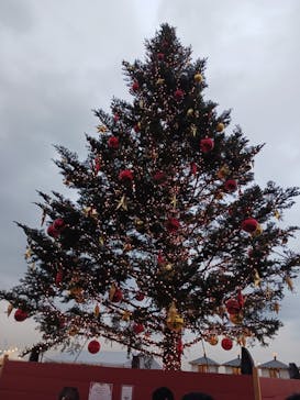 Christmas Market in 横浜赤レンガ倉庫 2025に投稿された画像（2025/12/20）