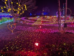 みろくの里に投稿された画像（2025/12/20）