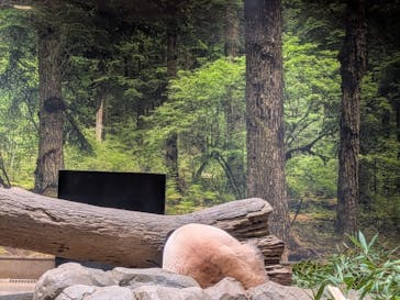 恩賜上野動物園に投稿された画像（2025/12/20）