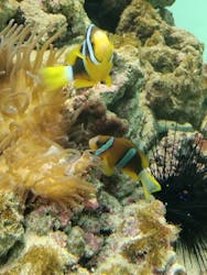 葛西臨海水族園に投稿された画像（2025/12/20）