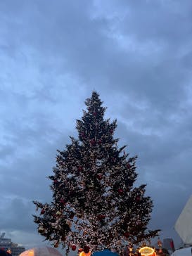 Christmas Market in 横浜赤レンガ倉庫 2025に投稿された画像（2025/12/20）