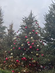 Christmas Market in 横浜赤レンガ倉庫 2025に投稿された画像（2025/12/20）