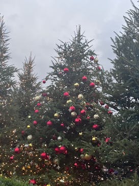 Christmas Market in 横浜赤レンガ倉庫 2025に投稿された画像（2025/12/20）