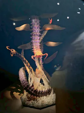 金曜ロードショーとジブリ展（静岡展）に投稿された画像（2025/12/20）