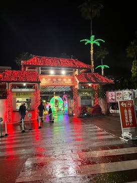 美らヤシパークオキナワ・東南植物楽園に投稿された画像（2025/12/20）