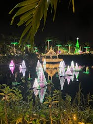 美らヤシパークオキナワ・東南植物楽園に投稿された画像（2025/12/20）