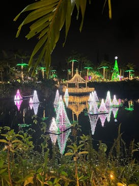 美らヤシパークオキナワ・東南植物楽園に投稿された画像（2025/12/20）