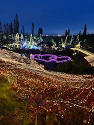 美らヤシパークオキナワ・東南植物楽園に投稿された画像（2025/12/20）