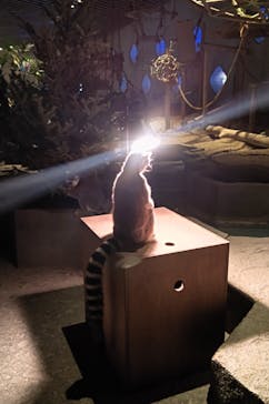 NIFREL（ニフレル）に投稿された画像（2025/12/20）