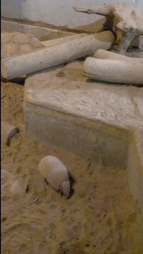 NIFREL（ニフレル）に投稿された画像（2025/12/20）