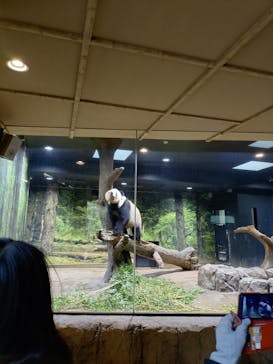 恩賜上野動物園に投稿された画像（2025/12/20）