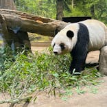 恩賜上野動物園に投稿された画像（2025/12/20）