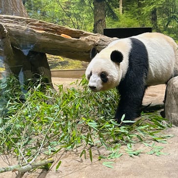 恩賜上野動物園に投稿された画像（2025/12/20）