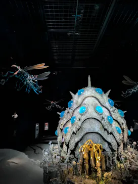 金曜ロードショーとジブリ展（静岡展）に投稿された画像（2025/12/20）