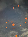 大泉緑地サンクスランタンに投稿された画像（2025/12/20）
