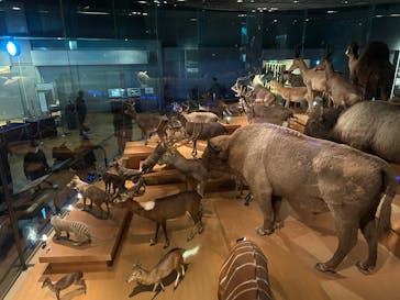 国立科学博物館に投稿された画像（2025/12/20）