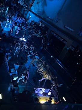 北九州市立自然史・歴史博物館（いのちのたび博物館）に投稿された画像（2025/12/20）