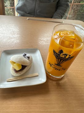 熱川バナナワニ園に投稿された画像（2025/12/20）