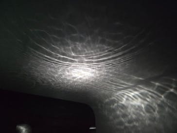 NIFREL（ニフレル）に投稿された画像（2025/12/20）