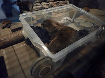 NIFREL（ニフレル）に投稿された画像（2025/12/20）