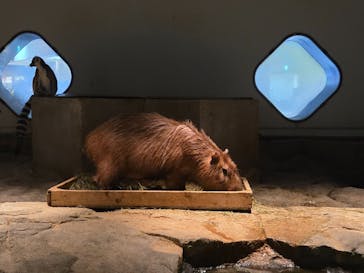 NIFREL（ニフレル）に投稿された画像（2025/12/20）