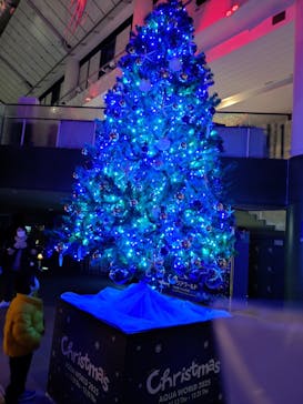 アクアワールド茨城県大洗水族館に投稿された画像（2025/12/20）