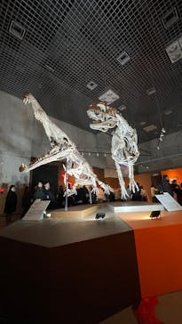 特別展「大絶滅展―生命史のビッグファイブ」に投稿された画像（2025/12/20）