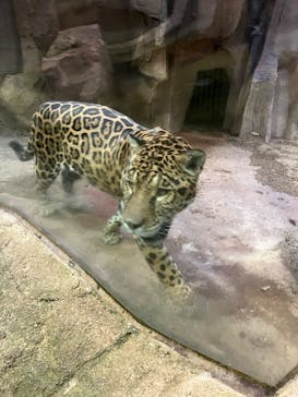 那須どうぶつ王国に投稿された画像（2025/12/20）