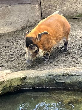 那須どうぶつ王国に投稿された画像（2025/12/20）