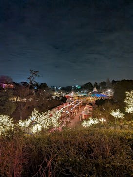 西武園ゆうえんちに投稿された画像（2025/12/20）