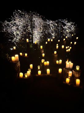 世羅高原農場に投稿された画像（2025/12/20）