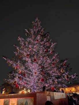 Christmas Market in 横浜赤レンガ倉庫 2025に投稿された画像（2025/12/20）